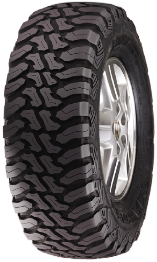 Scheda Variante Pneumatico &rsaquo; Marca: Accelera &rsaquo; Modello: MT-01